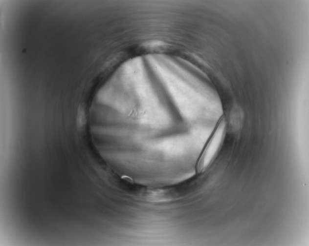 X0000088450472200706051309