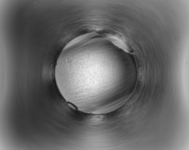 X0000088450474200706051309