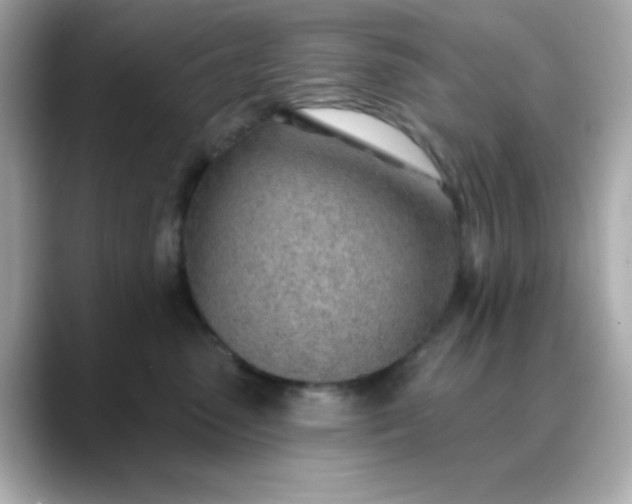 X0000088450475200706051309