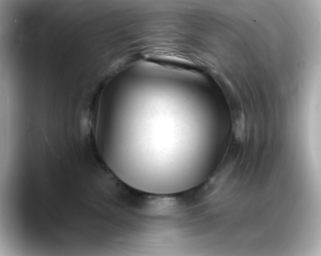 X0000088450476200706051309