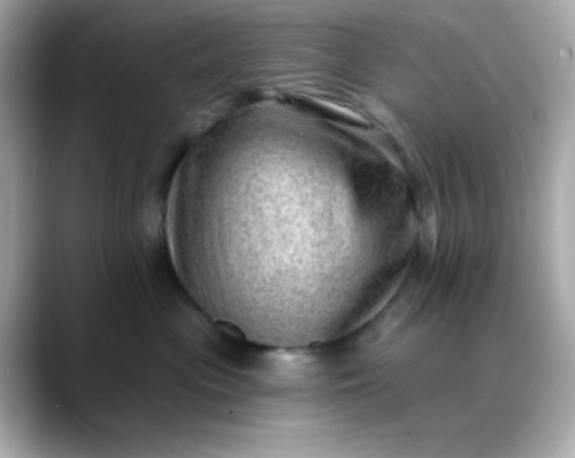 X0000088450477200706051309