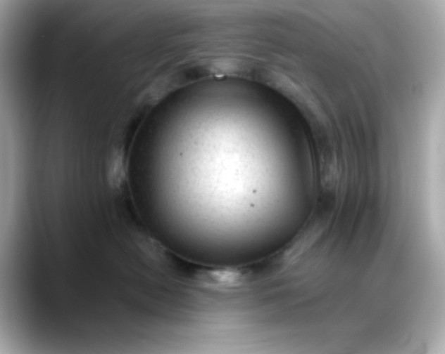 X0000088450478200706051309