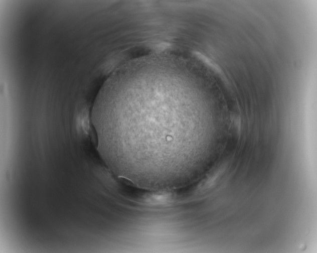 X0000088450479200706051309