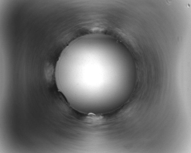 X0000088450480200706051309