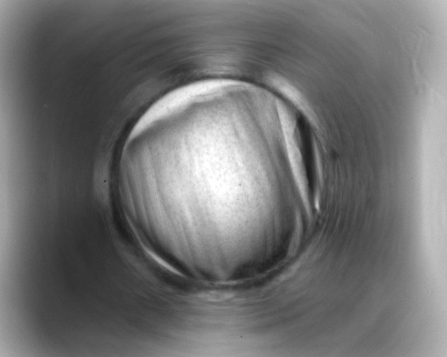 X0000088450482200706051309