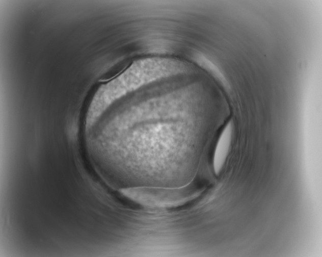 X0000088450483200706051309