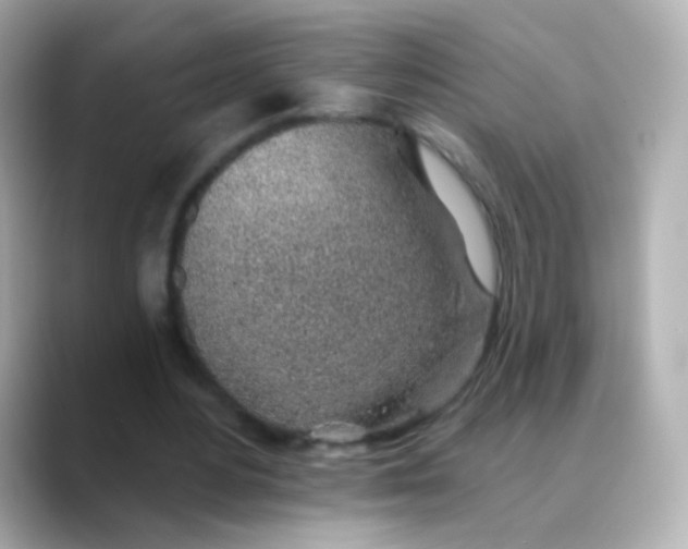 X0000088450484200706051309