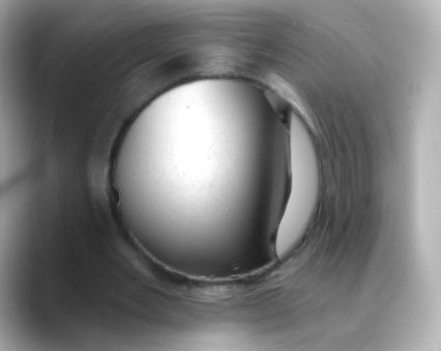 X0000088450485200706051309
