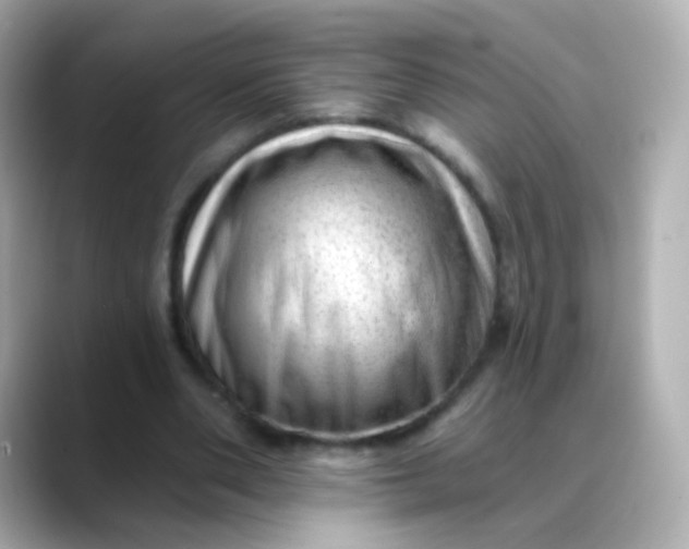 X0000088450486200706051309