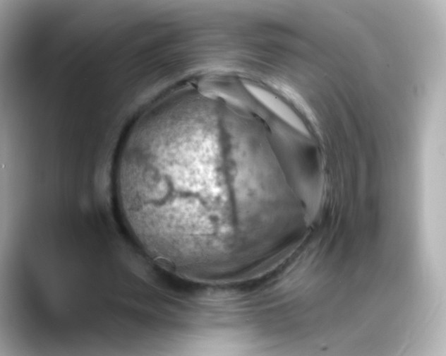 X0000088450487200706051309
