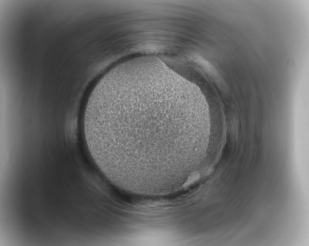 X0000088450488200706051309