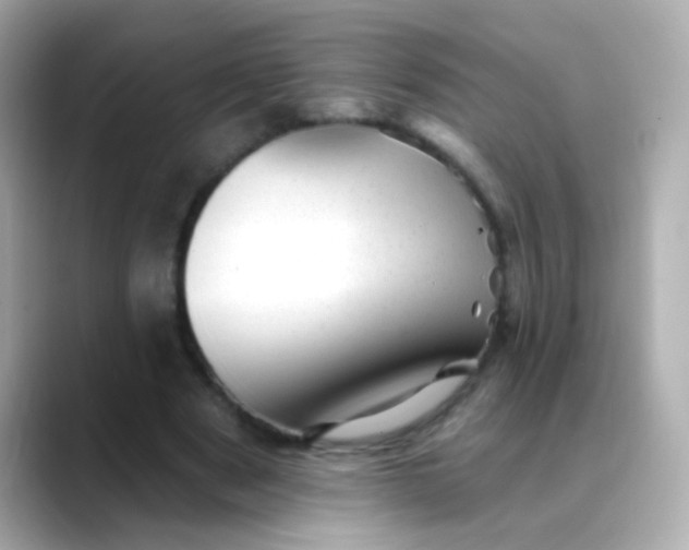 X0000088450489200706051309