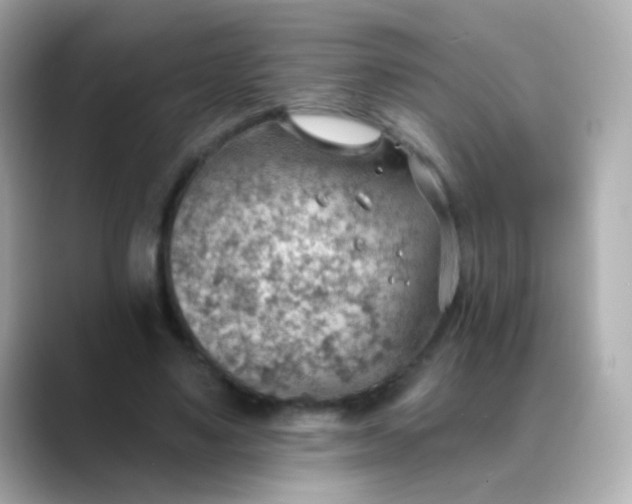 X0000088450491200706051309