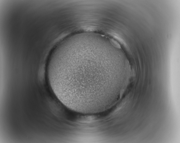 X0000088450492200706051309