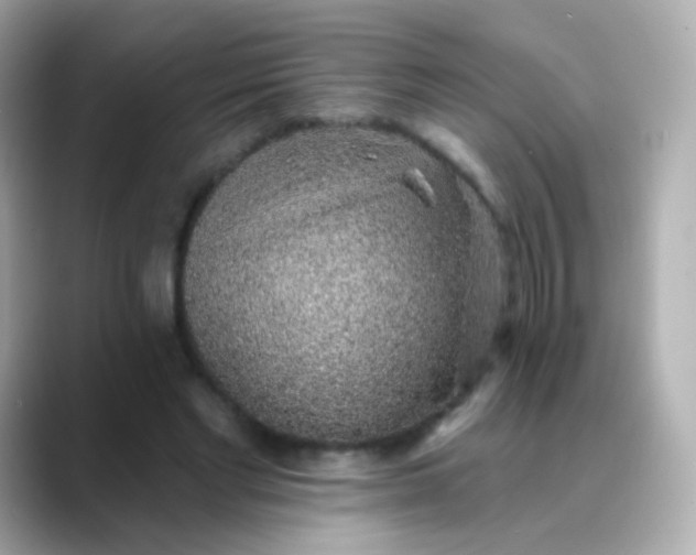 X0000088450493200706051309