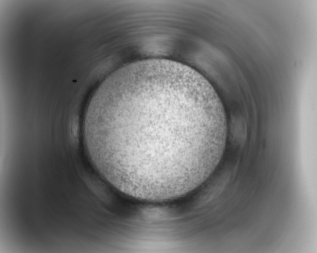 X0000088450494200706051309