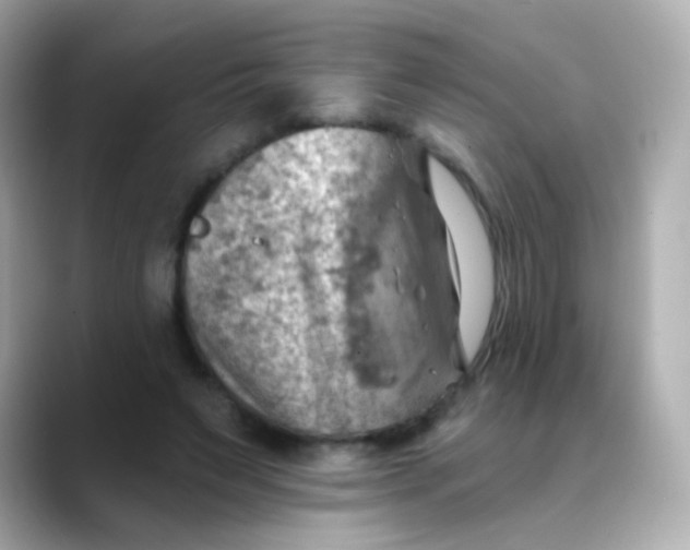 X0000088450495200706051309