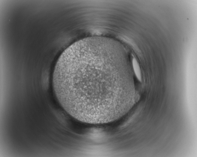 X0000088450496200706051309