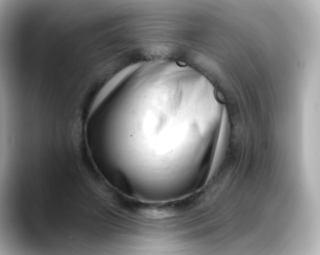X0000088450498200706051309