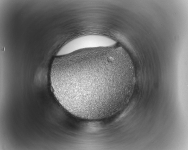 X0000088450501200706051309