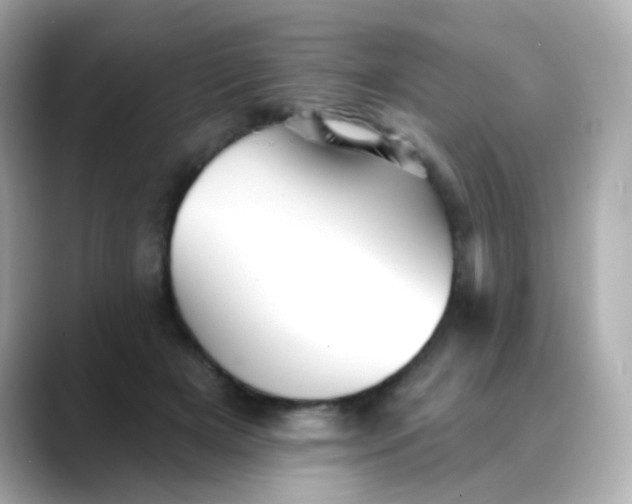 X0000088450505200706051309