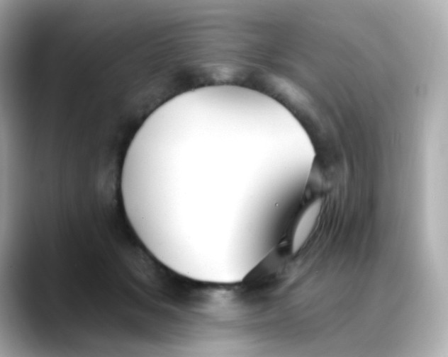 X0000088450509200706051309
