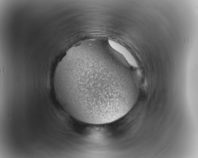 X0000088450512200706051308