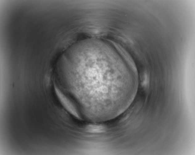 X0000088450515200706051308