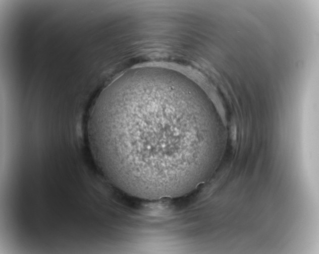 X0000088450516200706051308