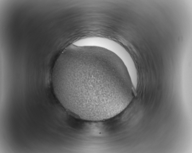 X0000088450517200706051308