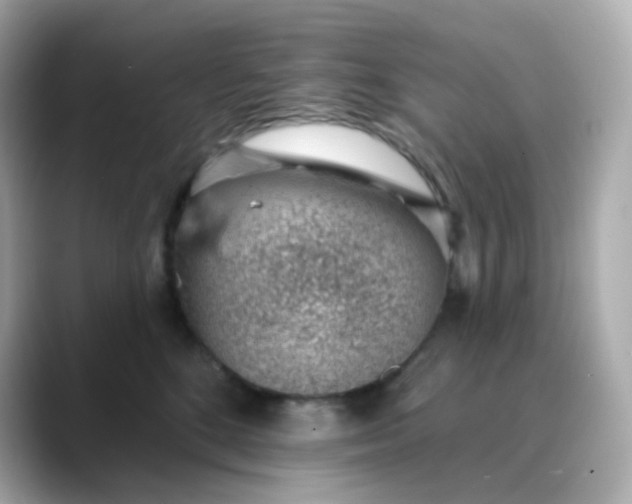 X0000088450520200706051308