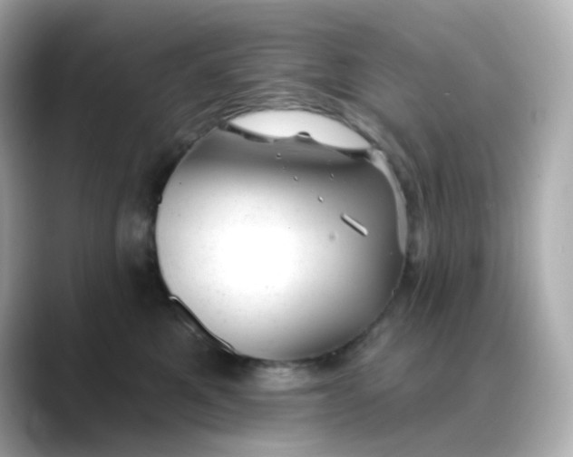 X0000088450521200706051308
