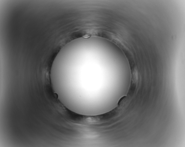 X0000088450522200706051308