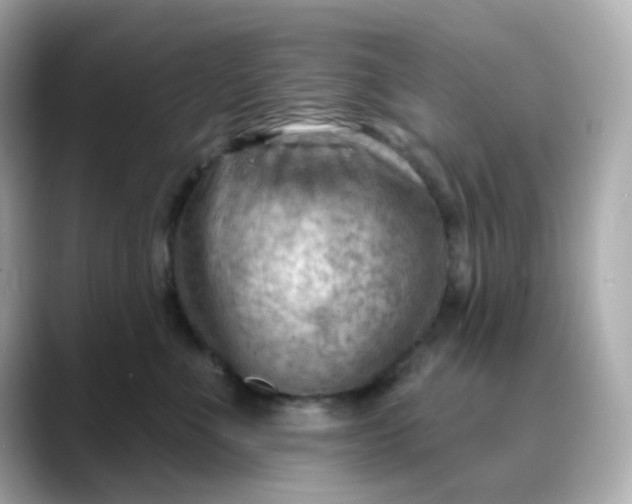 X0000088450523200706051308
