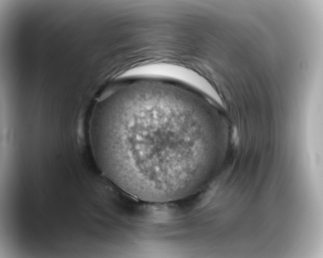 X0000088450524200706051308