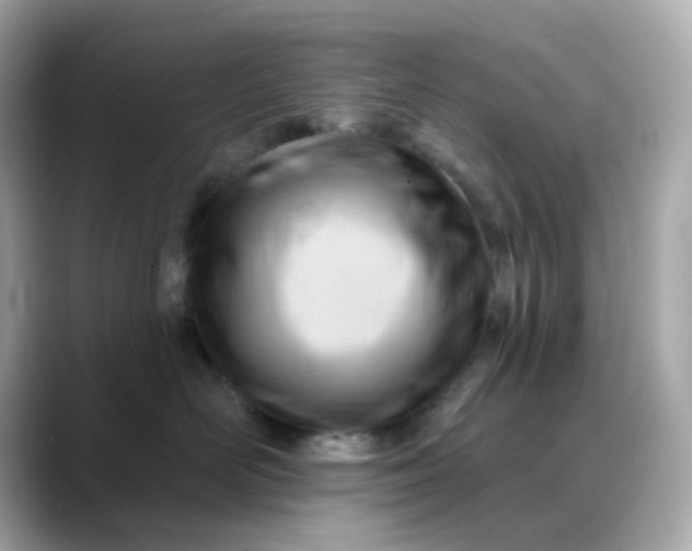 X0000088450526200706051308