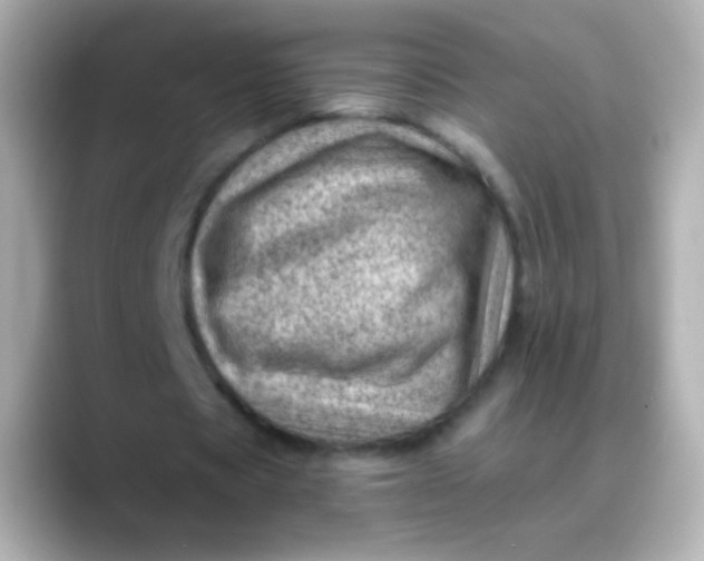X0000088450529200706051308