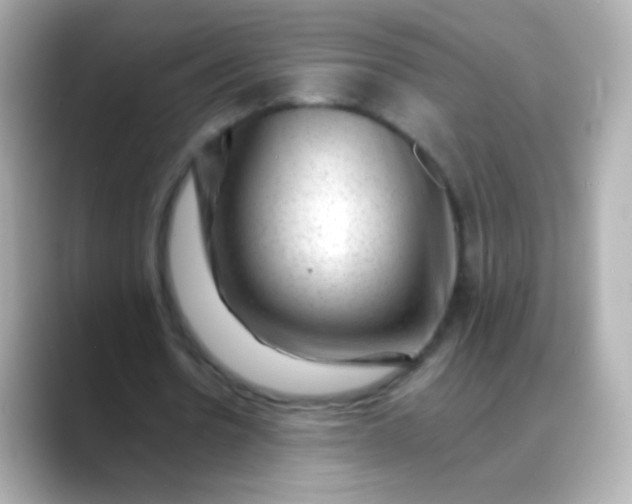 X0000088450530200706051308