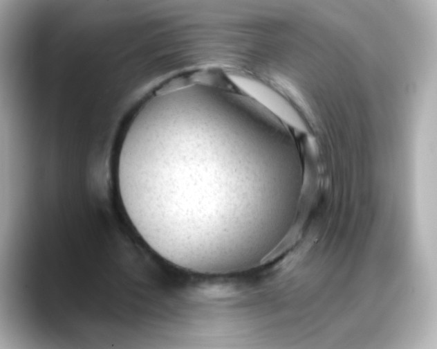 X0000088450532200706051308