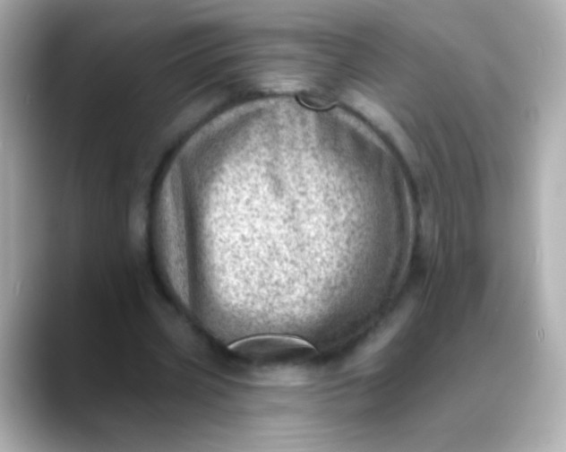 X0000088450533200706051308