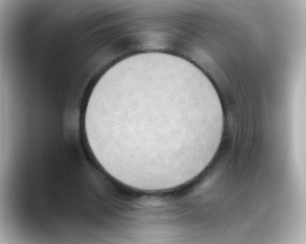 X0000088450534200706051308