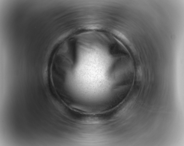 X0000088450535200706051308