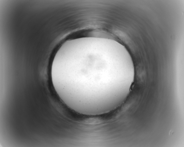 X0000088450536200706051308
