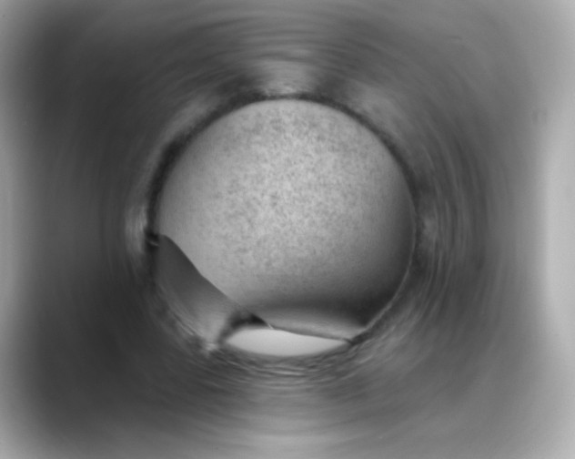 X0000088450539200706051308