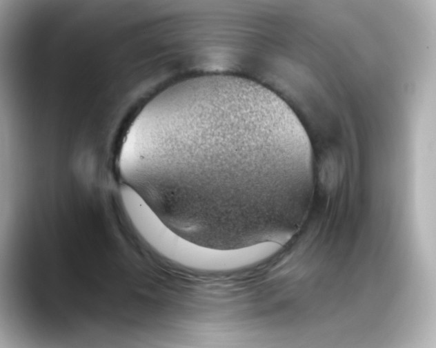 X0000088450540200706051308