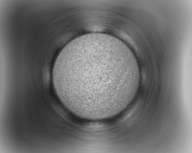 X0000088450541200706051308