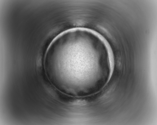 X0000088450543200706051308