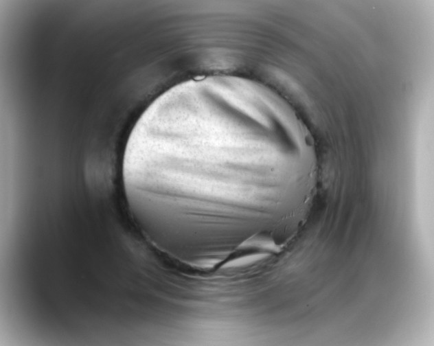 X0000088450544200706051308