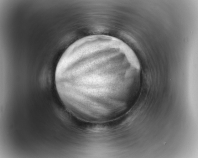 X0000088450546200706051308