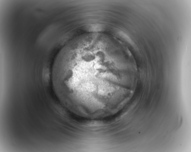 X0000088450549200706051308